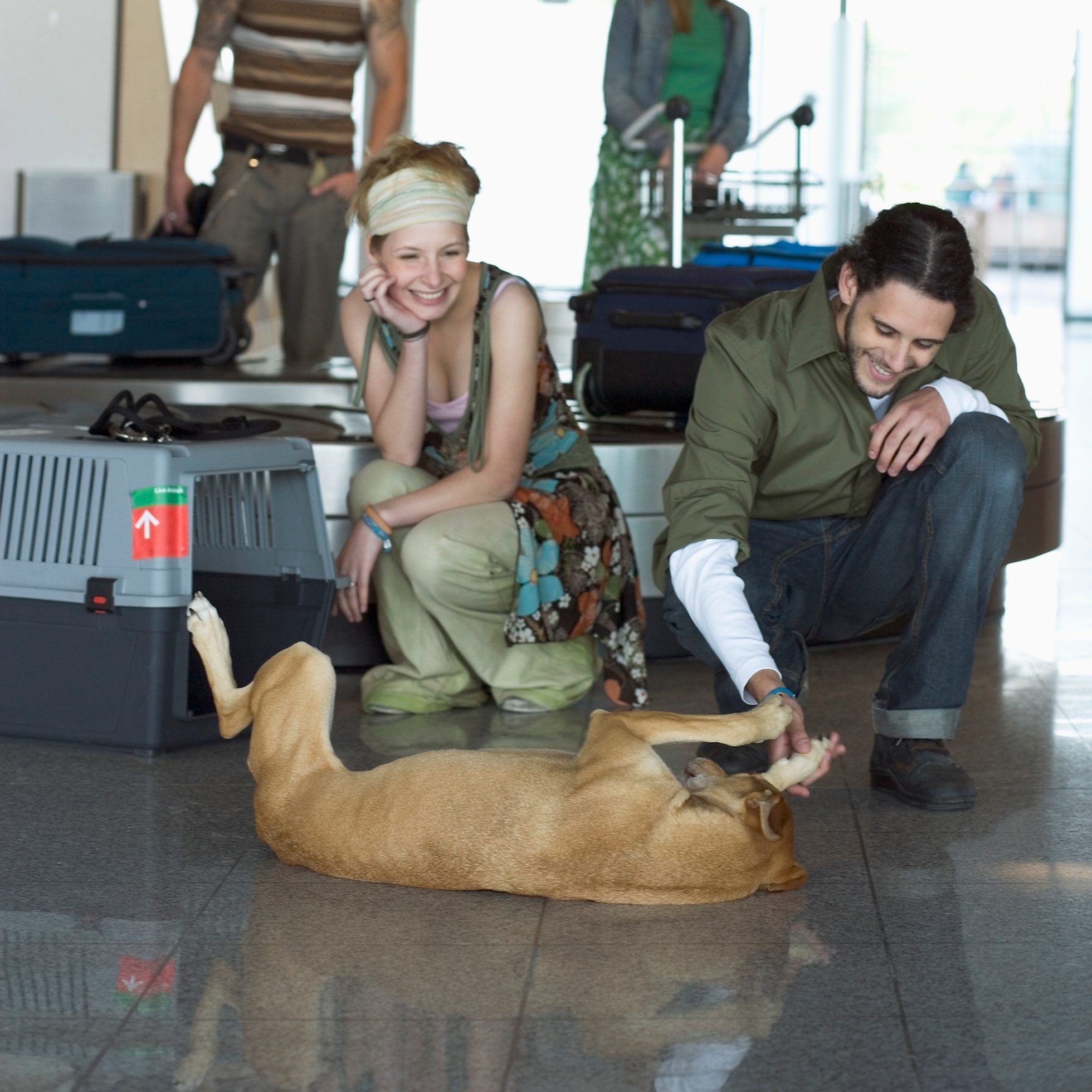 A woman and a man playing with a dog at the airport